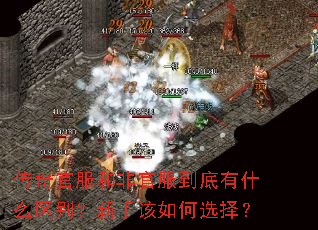 ����ٷ��ͷǹٷ�������ʲô�������ָ����ѡ��