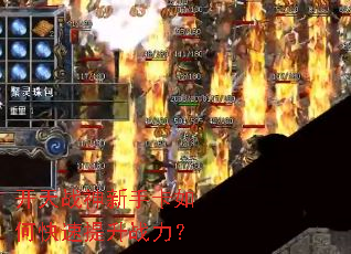 ����ս�����ֿ���ο�������ս����