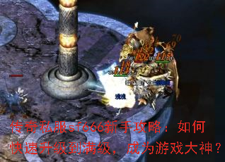 ����˽��sf666���ֹ��ԣ���ο�����������������Ϊ��Ϸ����