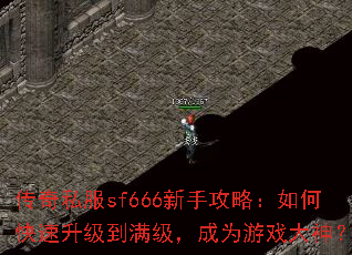 ����˽��sf666���ֹ��ԣ���ο�����������������Ϊ��Ϸ����