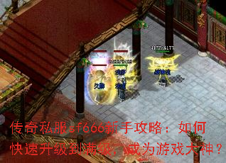 ����˽��sf666���ֹ��ԣ���ο�����������������Ϊ��Ϸ����