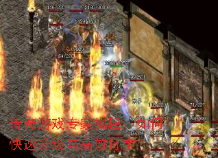 ������Ϸר�ҽ��أ���ο����������Ч�򱦣�