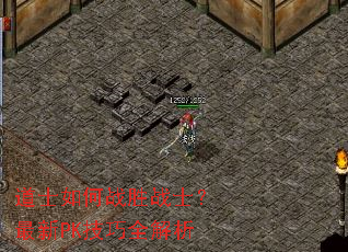 ��ʿ���սʤսʿ������PK����ȫ����