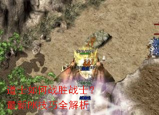 ��ʿ���սʤսʿ������PK����ȫ����