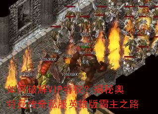 ����ƽ�VIP��Ȩ�����ذ���������˽��Ӣ�۰����֮·