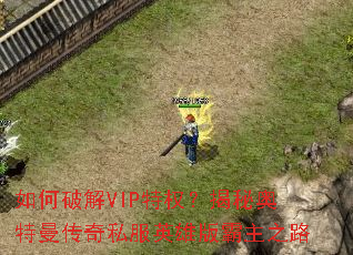 ����ƽ�VIP��Ȩ�����ذ���������˽��Ӣ�۰����֮·