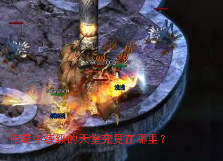 ���������������þ��������