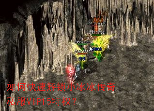 ��ο��ٽ���С��������˽��VIP15��Ȩ��