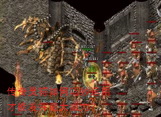 �����������������ò��ܷ������������