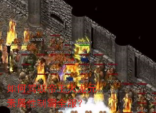 ��μ�Ԧ��������Ԫ�������ư�ȫ����