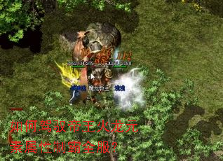 ��μ�Ԧ��������Ԫ�������ư�ȫ����