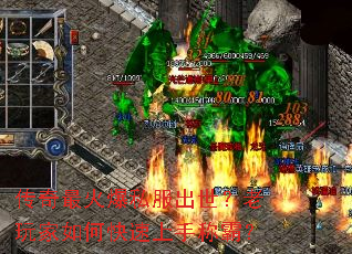 �������˽���������������ο������ֳưԣ�