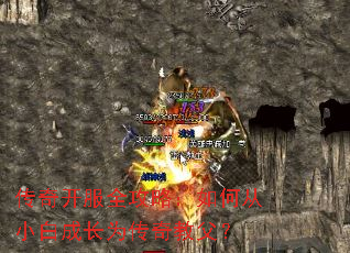 ���濪��ȫ���ԣ���δ�С�׳ɳ�Ϊ����̸���