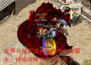 ��δ����³ɳ�Ϊ����˽���������ռ�����ָ���������