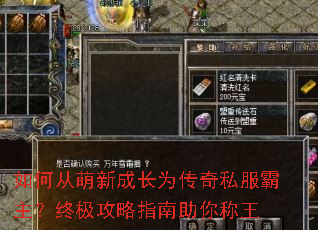 ��δ����³ɳ�Ϊ����˽���������ռ�����ָ���������