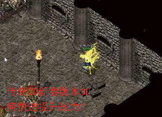 ����3D�´��汾��ο�������ս����