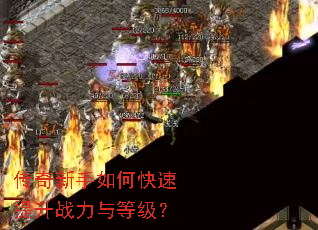 ����������ο�������ս����ȼ���