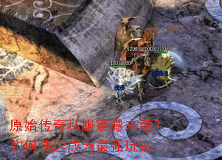 ԭʼ����˽������Ϯ����ο��ٳ�Ϊ��ǿ���