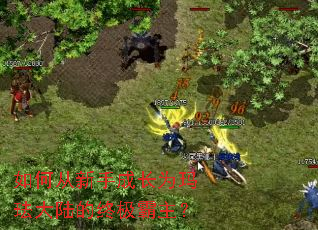 ��δ����ֳɳ�Ϊ�귩��½���ռ�������