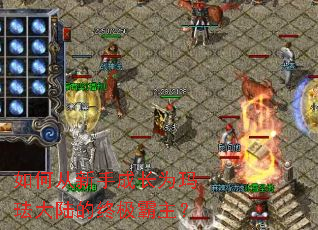 ��δ����ֳɳ�Ϊ�귩��½���ռ�������