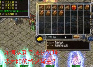 ��δ����ֳɳ�Ϊ�귩��½���ռ�������