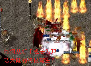 ��δ����ֳɳ�Ϊ�귩��½���ռ�������