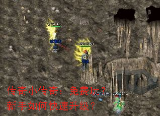 ����С���棺����棿������ο���������