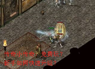 ����С���棺����棿������ο���������