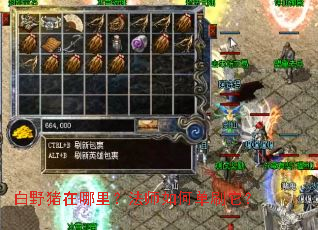 ��Ұ���������ʦ��ε�ˢ����