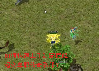 ��ο��������ư��۷峬�䵥ְ����˽����