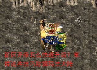 新区开服怎么快速升级?掌握这些技巧称霸玛法大陆 新区开服怎么快速升级?掌握这些技巧称霸玛法大陆