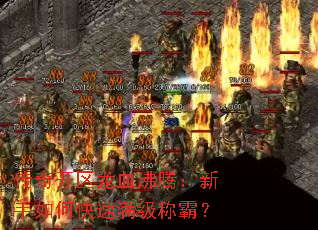 ���濪����Ѫ���ڣ�������ο��������ưԣ�