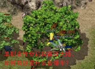 ��ְҵ�����̽�����½�������Ч����װ�����ʣ�