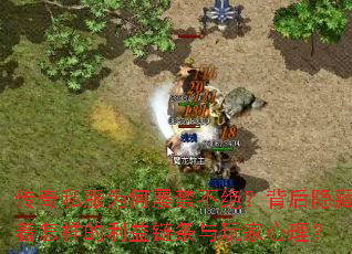 ����˽��Ϊ���Ž������������������������������������������