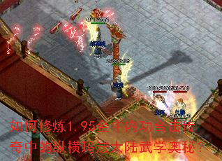 �������1.95��ţ�ڹ��ϻ������е��ݺ��귨��½��ѧ���أ�