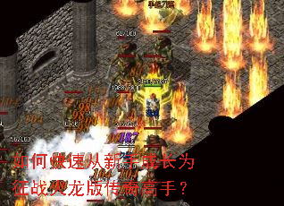 ��ο��ٴ����ֳɳ�Ϊ��ս�����洫����֣�