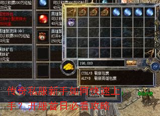 ����˽��������ο������֣��������ձؿ�����