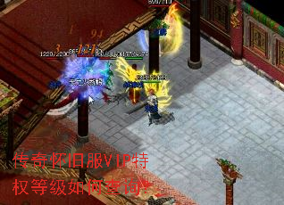 ���滳�ɷ�VIP��Ȩ�ȼ���β�ѯ��