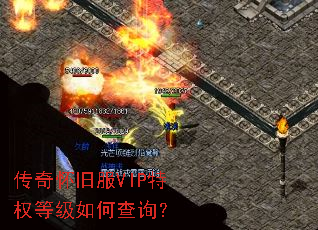 ���滳�ɷ�VIP��Ȩ�ȼ���β�ѯ��