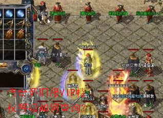 ���滳�ɷ�VIP��Ȩ�ȼ���β�ѯ��