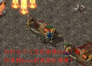 Ϊʲô���÷�ʦ����boss����ʦ����boss�����������