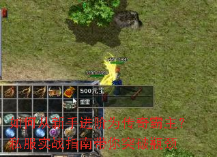 如何从新手进阶为传奇霸主?私服实战指南带你突破瓶颈 如何从新手进阶为传奇霸主?私服实战指南带你突破瓶颈