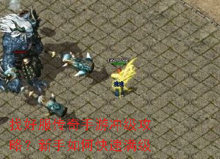 找好服传奇手游冲级攻略?新手如何快速满级 找好服传奇手游冲级攻略?新手如何快速满级