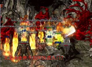 �����ϻ�������ο������ţ�