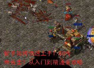 ������ο�������1.80����ϻ��������ŵ���ͨȫ����