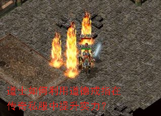 ��ʿ������õ��½�ָ�ڴ���˽��������ʵ����