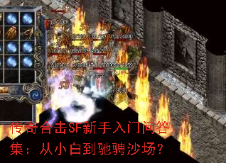 ����ϻ�SF���������ʴ𼯣���С�׵��۳�ɳ����