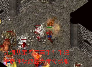 ��δӲ������֣��ְ��ֽ��㳩��ʢ����˽��