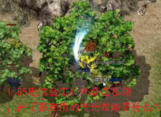 1.85电信合击1.95合击私服,高手都在用的传奇攻略是什么? 1.85电信合击1.95合击私服,高手都在用的传奇攻略是什么?