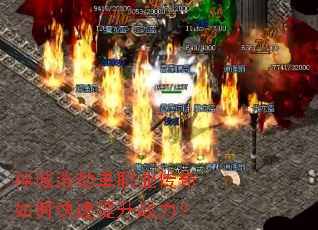 ����ƽٵ�ְҵ������ο�������ս����